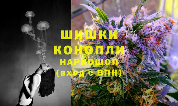 mix Белокуриха