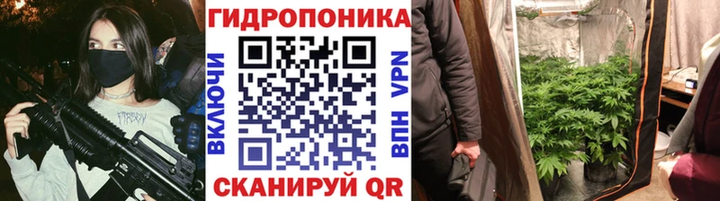 OMG   Яранск  Марихуана сатива 